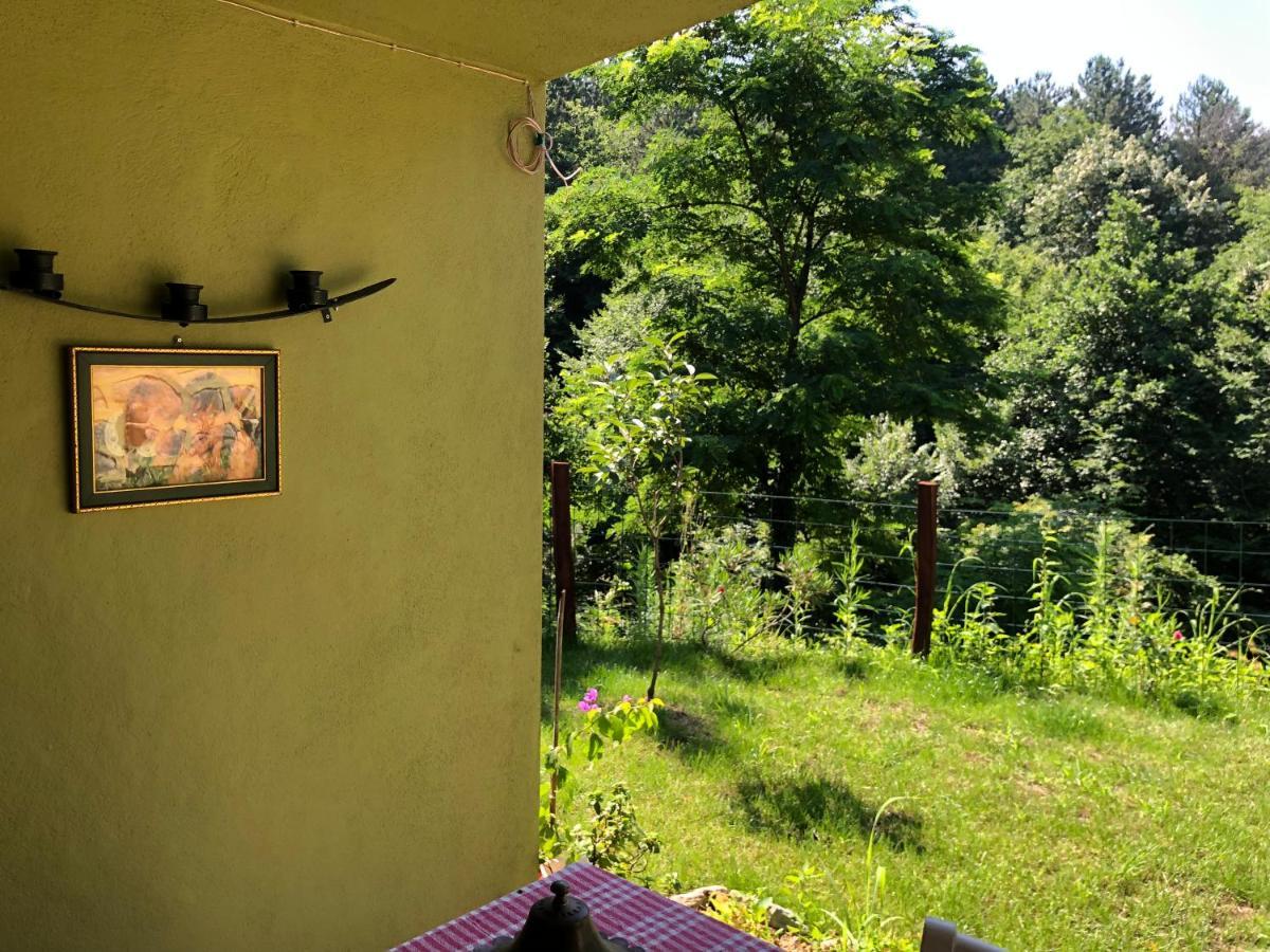 Happyhobbit Forest, Lake View, Fireplace , Jakuzi ,In Sapanca Exterior photo